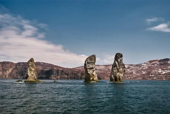 Волшебство Камчатки — врата в дикий мир природы